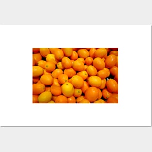 Kumquats Posters and Art